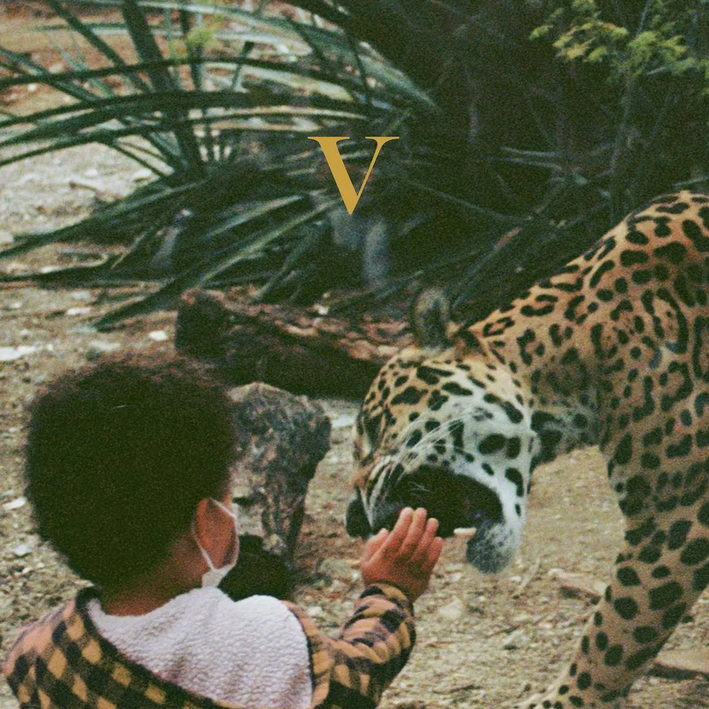 Unknown Mortal Orchestra 'V' 2xLP (*SIGNED*) (*ONE PERSON*)