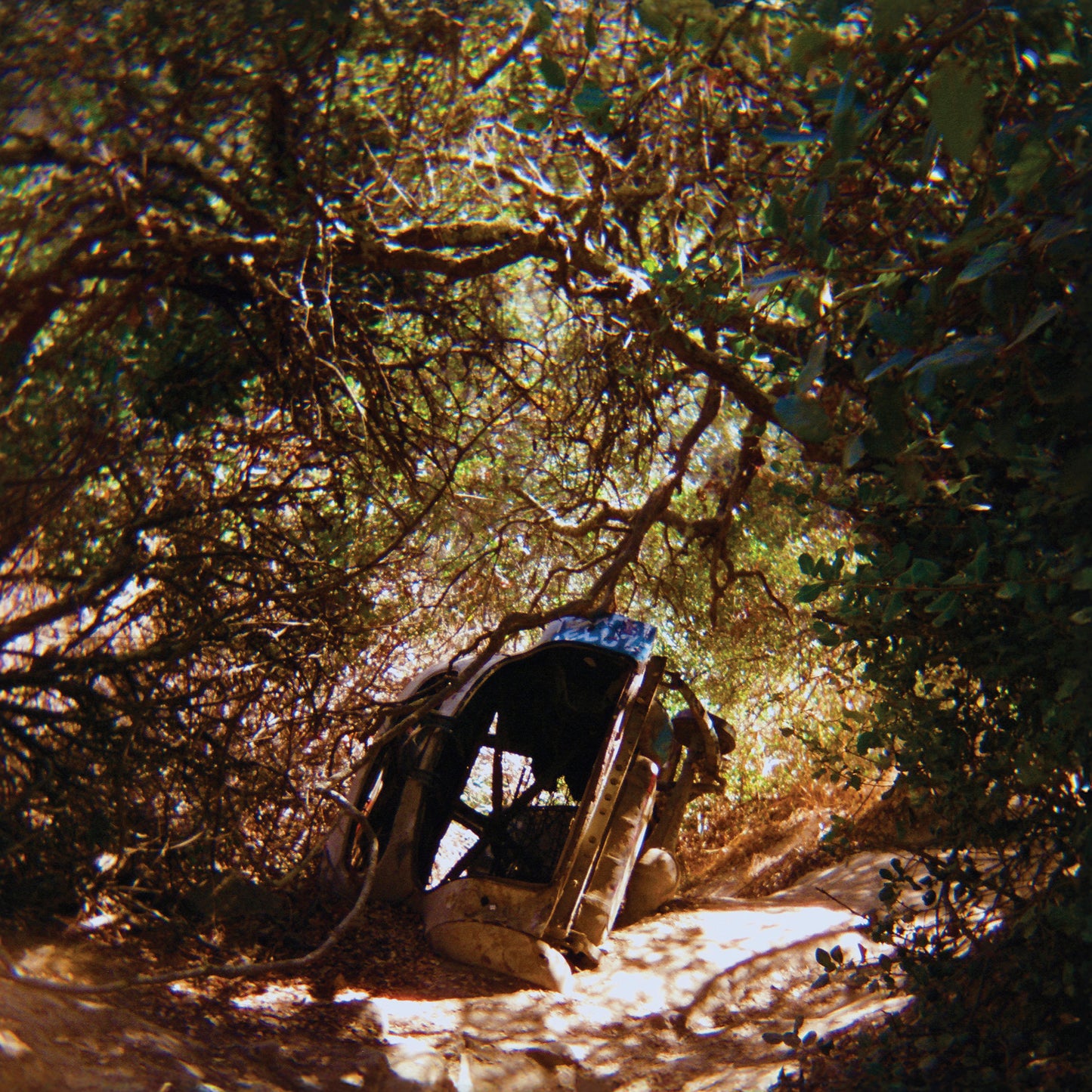Ty Segall 'Possession' LP