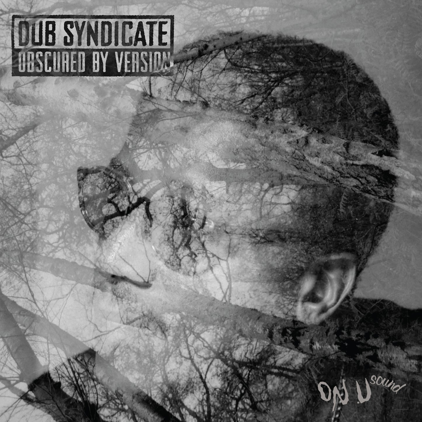 Dub Syndicate 'Obscured By Version' LP