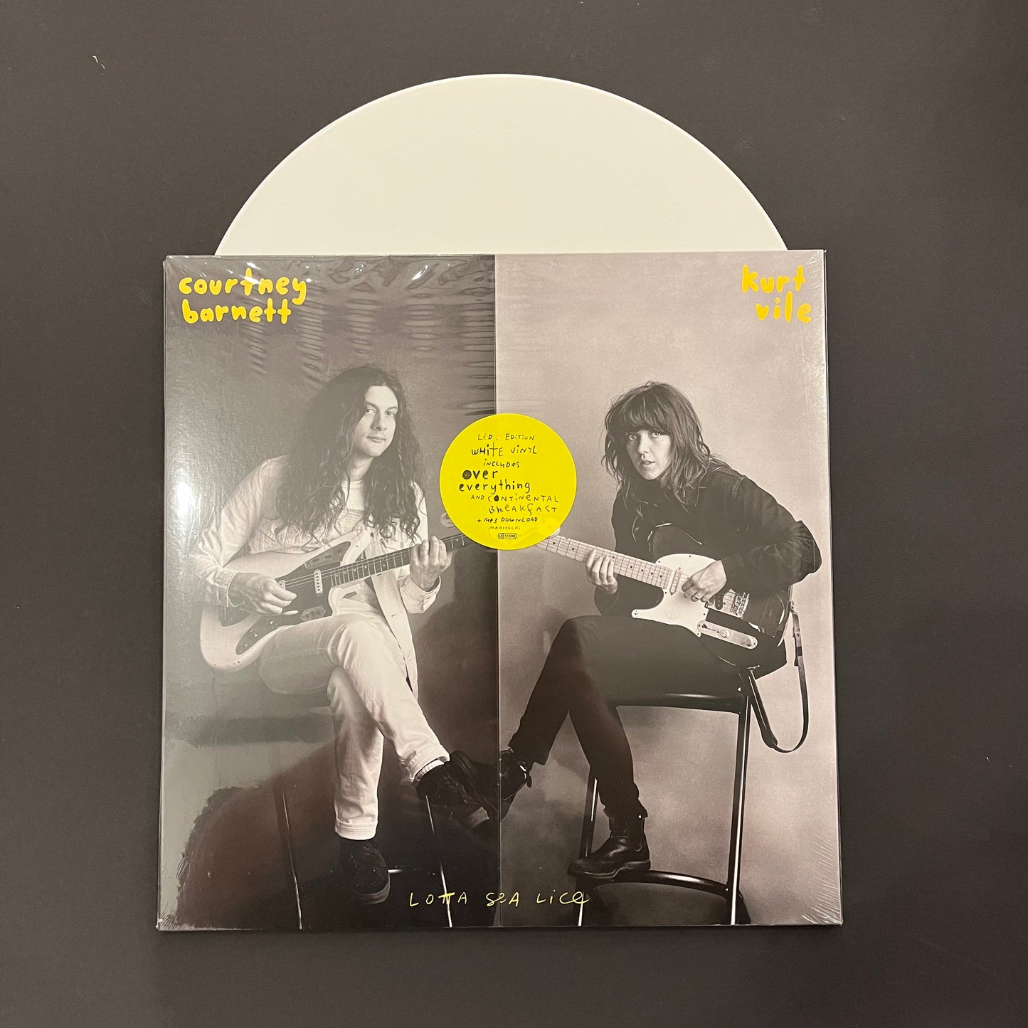 Kurt Vile & Courtney Barnett 'Whole Lotta Lice' LP (*USED*)