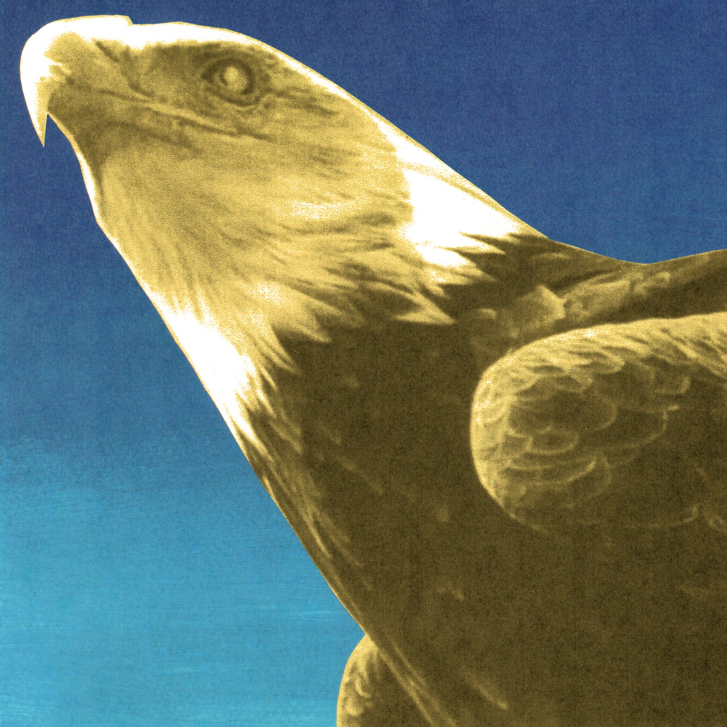 Protomartyr 'Hotel Usona' LP