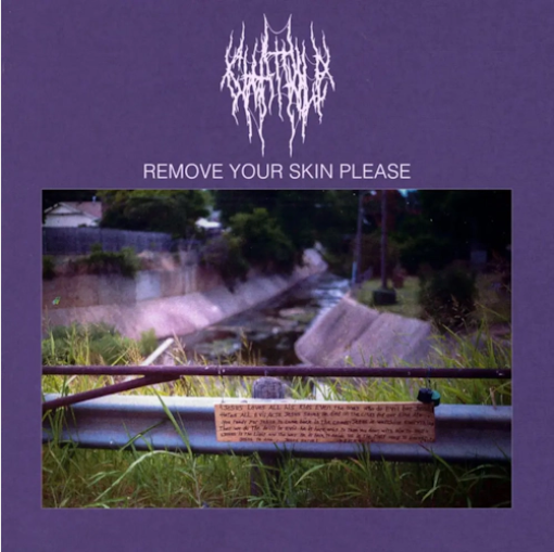 Chat Pile 'Remove Your Skin Please' Cassette
