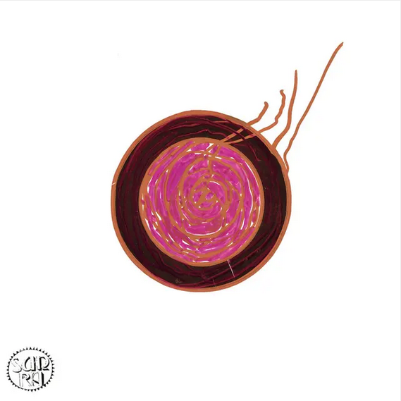 Sun Ra 'Sleeping Beauty' LP