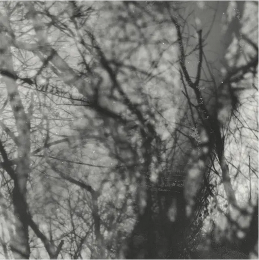 Grouper 'Way Their Crept' LP