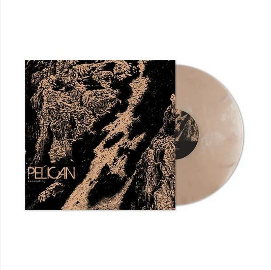 Pelican 'Ascending' 12"