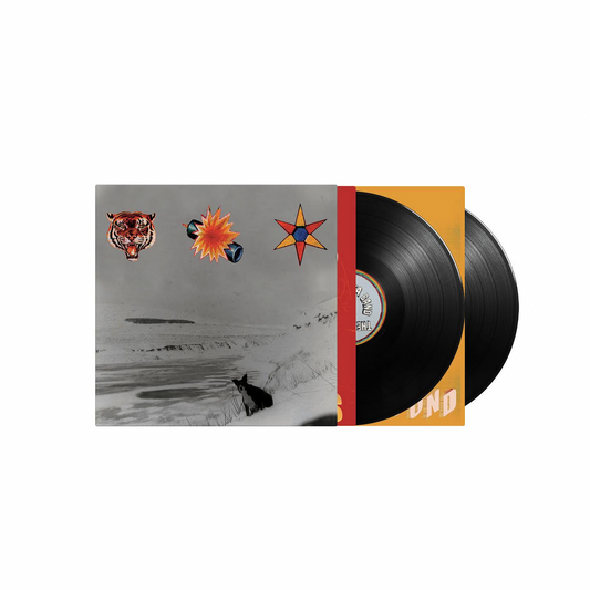 The Beta Band 'The 3 EPs' 2xLP