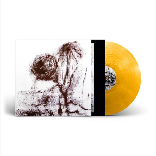 William Basinski 'Passing the Cup of Sorrows' LP