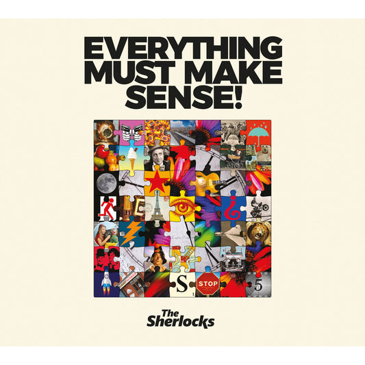 The Sherlocks 'Everything Must Make Sense!' LP