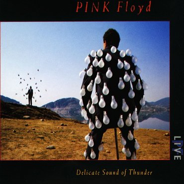 Pink Floyd 'Delicate Sound Of Thunder' 2xLP