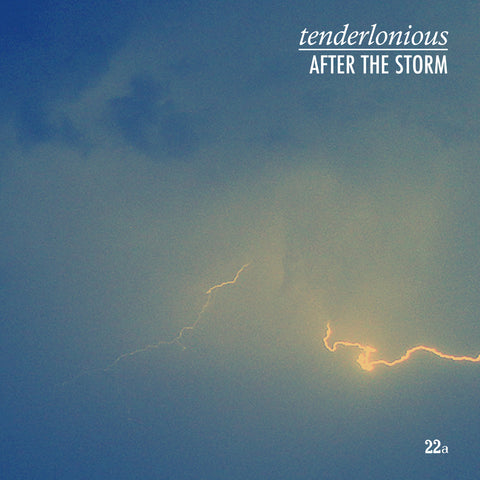 Tenderlonious 'After The Storm' 12"