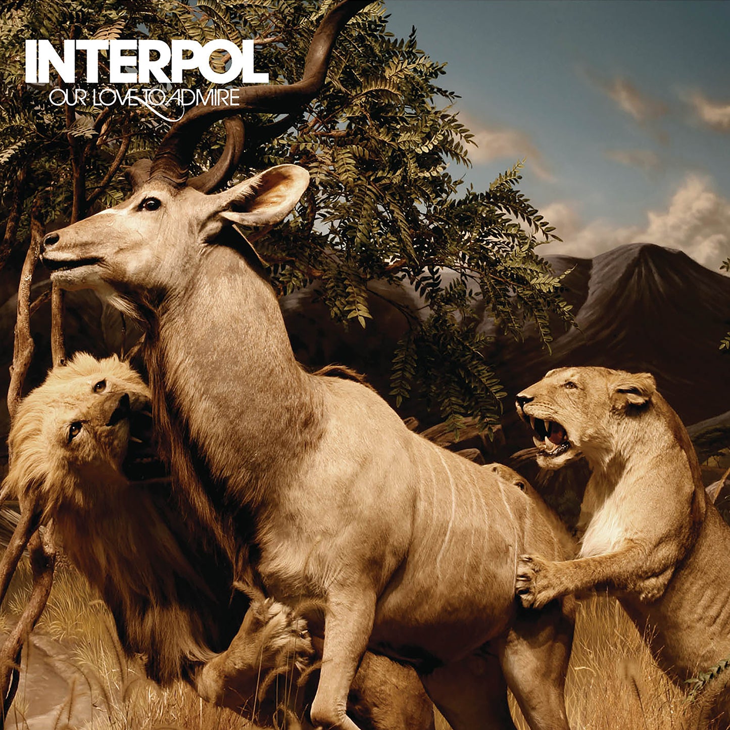 Interpol 'Our Love To Admire' 2xLP