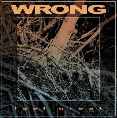 Wrong 'Feel Great' LP
