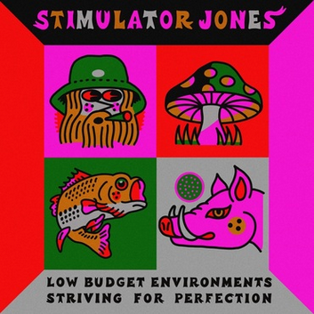 Stimulator Jones 'Low Budget Environments Striving For Perfection' LP