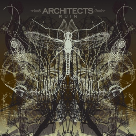Architects 'Ruin' LP