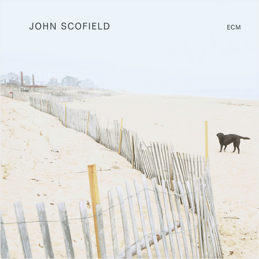 John Scofield 'John Scofield' LP