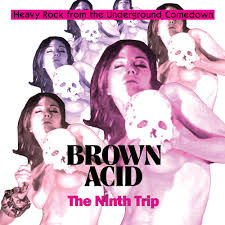 Various 'Brown Acid : The Ninth Trip' LP